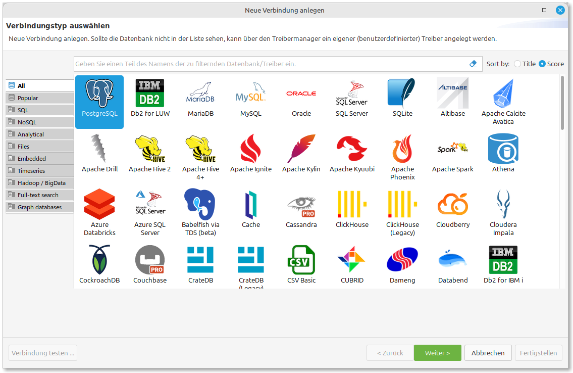 Datenbanktyp auswählen